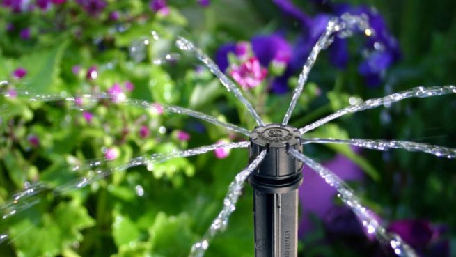 drip-irrigation-for-beginners-782x440
